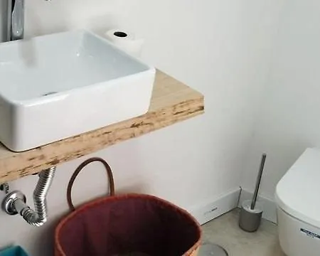 Amazing - For Guest *
