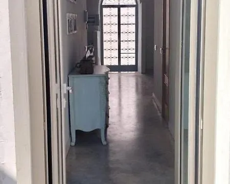 Amazing - For Guest